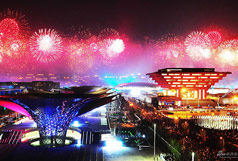 2010，Shanghai World Expo